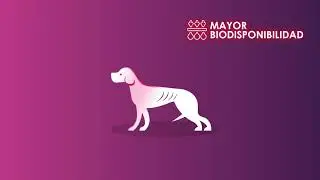 DESCUBRE NUESTRO TRABAJO