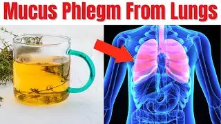 This Drink Remove Mucus Phlegm From Lungs  - Drink To Clean Lungs