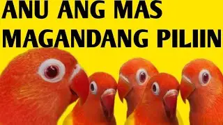 PARA SA MGA NAIS NGAYON BUMILI PANOORIN MUNA XMAS SALE DAW