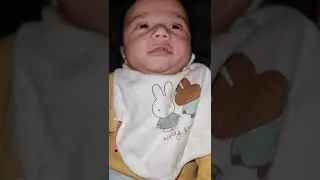 Zeno 04/05/2022