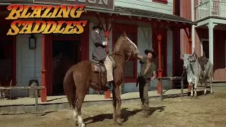You can't park that animal over there! | Blazing saddles