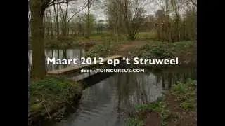 Maart in onze landschapstuin 't Struweel.
