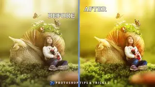 How To Boost Color In Photoshop / Adobe Photoshop Tutorials / Vivid Color