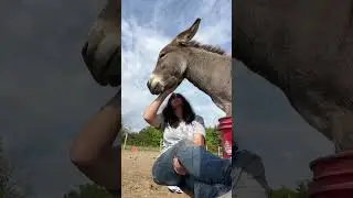 Moments with Melvin