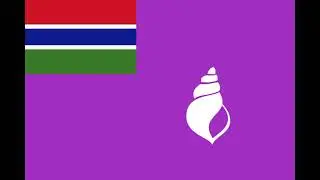 The Gambia flag amination