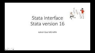 Understanding Stata Interface and importing data