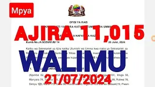 AJIRA MPYA ZA WALIMU 2024 NAFASI 11,015 | JINSI YA KUOMBA AJIRA PORTAL