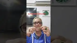 ayrılıklar bitsin