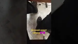 #рекомендации #брукхейвен #пжрек #врек #роблокс #2024 #btawlstars #brawlstars #roblox #мем