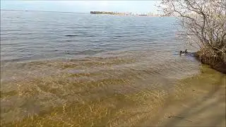 Дніпро релакс.