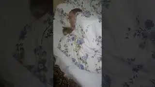 Папа пора просыпаться