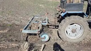культивация