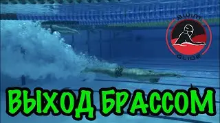 Выход БРАССОМ | Как плавать брассом еще быстрее???