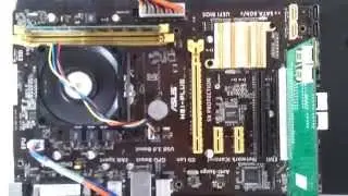 Asus Motherboard Fail ( No keyboard found, press F1 to enter Setup )