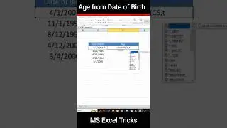 Calculate age from Date of birth in months, days and years in MS excel easy steps Urdu Hindi 