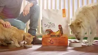 Go BEYOND for your Pet