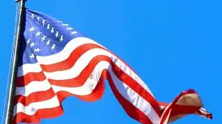 Flag Day 2022