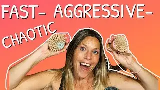 ASMR Fast, Aggressive, and Chaotic Triggers for people who don't get tingles!!
