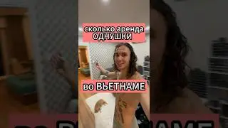 Сколько стоит аренда во вьетнаме? #shorts #вьетнам #жизньвовьетнаме #работавьетнам