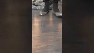 чечётка