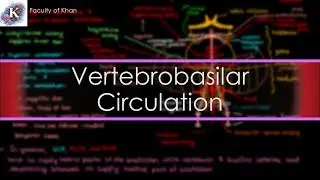 The Vertebrobasilar Circulation | Neurology