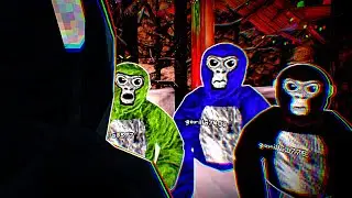 The Funniest Gorilla Tag Ghost Trolling moments of 2024!