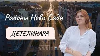Исследуем Нови-Сад: район Детелинара