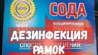 Дезинфекция рамок