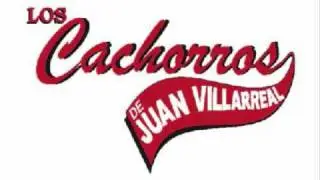 CACHORROS DE JUAN VILLAREAL  MIX