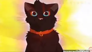 Коты Воители;Бич