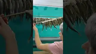 Вялка корюшки,  Дальний Восток. #вялка #вяленаярыба #корюшка #азиатка #fishcuttingvideo