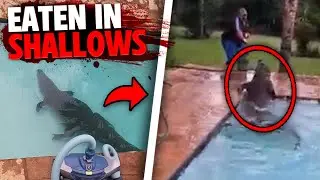 These 3 Swimmers Are EATEN ALIVE In Shallow Water By Deadly Predator!