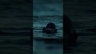 How Navy SEALs Execute Secret Missions- Seal Carrier #shorts