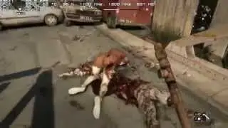 Dying Light on G3258 / HD7770