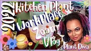 Kitchen Plant Workplace for Zoom: Vlog ℒ𝞪𝑑𝝲 ℒ𝞪 Gata7@Plant Diva:It’s Just Me La Gata7! #plants
