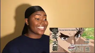 DR. STONE REACTION: HazeReacts