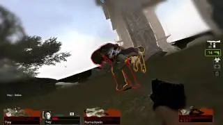 [L4D2] Karma Charger
