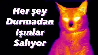 Senin Durmadan Yaydığın Işınlar (Termal Enerji / Kara Cisim Işıması)