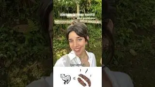 Dünyanın en nadir bulunan ve pahalı kahvesi: Kopi Luwak 