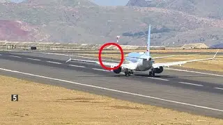BIRDSTRIKE NEOS Boeing 737 MAX 8 on Takeoff at Madeira Airport