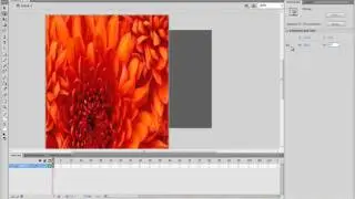Criando Preloader com Action Script 2.0 no Flash CS4