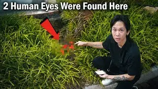 I visited the scene of Singapore's most gruesome crime..