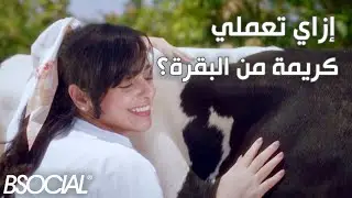 Latteria - الكريمة بتتعمل ببيض ولبن وبيكنج باودر وبقرة؟