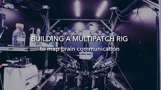 Building a Multipatch Rig to Map Brain Communication