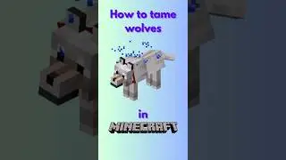 How to tame a wolf in Minecraft #gaming #minecraft #gamingtips