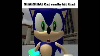 OIIAIOIIIAI Cat got moves 