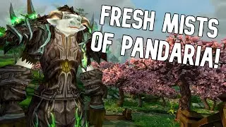 Stormforge Mistblade Server Review - Pandaria Reborn!