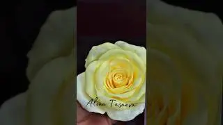 #холодныйфарфор #цветы #алинатесаева #flowers #rose #полимерная_глина #букет #свадьба #розы