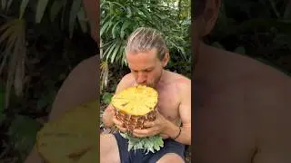 The Biggest Pineapple In The World