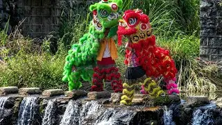 Folk Lion & Golden 🐉🦁 Gansu!! 🇨🇳🎇Performances Heat up Festival Spirit🔥 @realreelchina